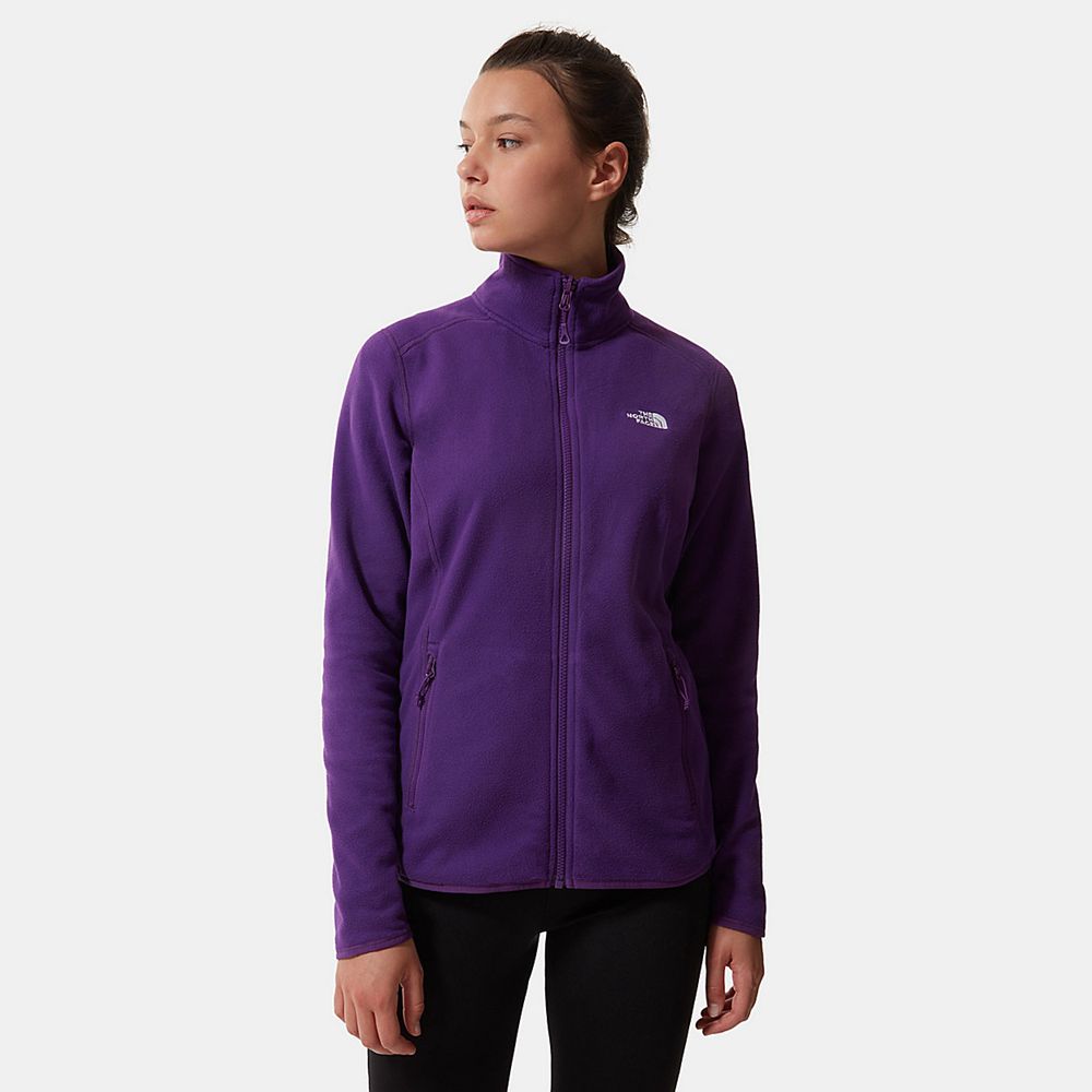 The North Face Fleece Womens Australia - The North Face 100 Glacier Full-Zip Purple Skiing And Snowb